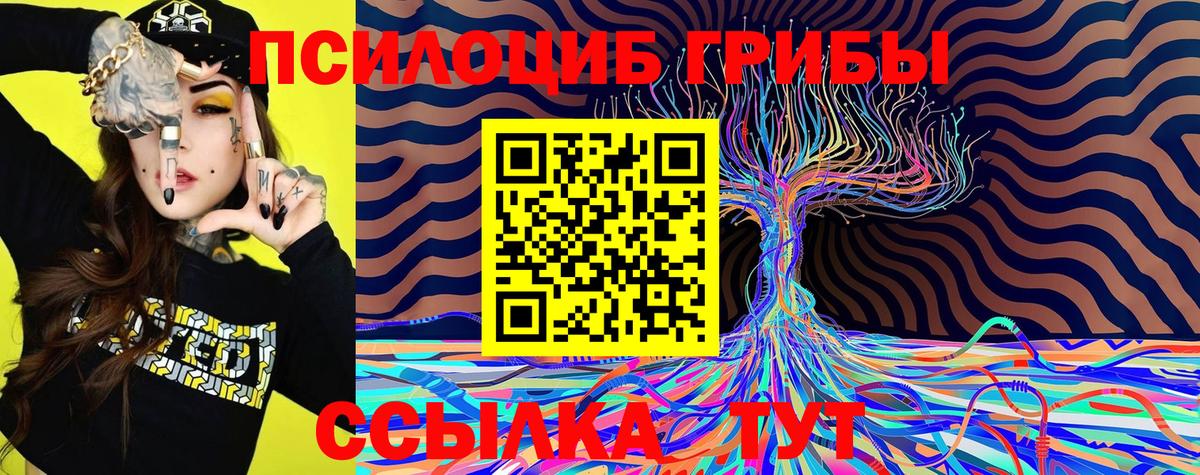 Галлюциногенные грибы Magic Shrooms  Вход с VPN  Богданович 